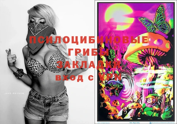 хмурый Абинск