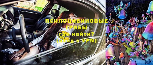 винт Нея