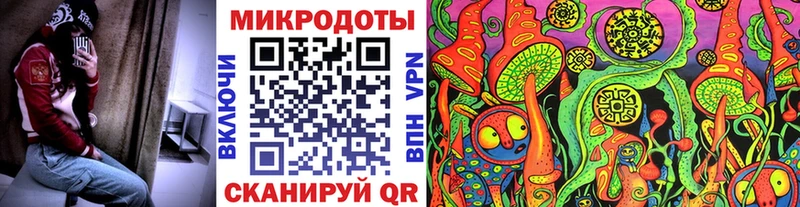 Псилоцибиновые грибы Psilocybine cubensis  Кизляр 